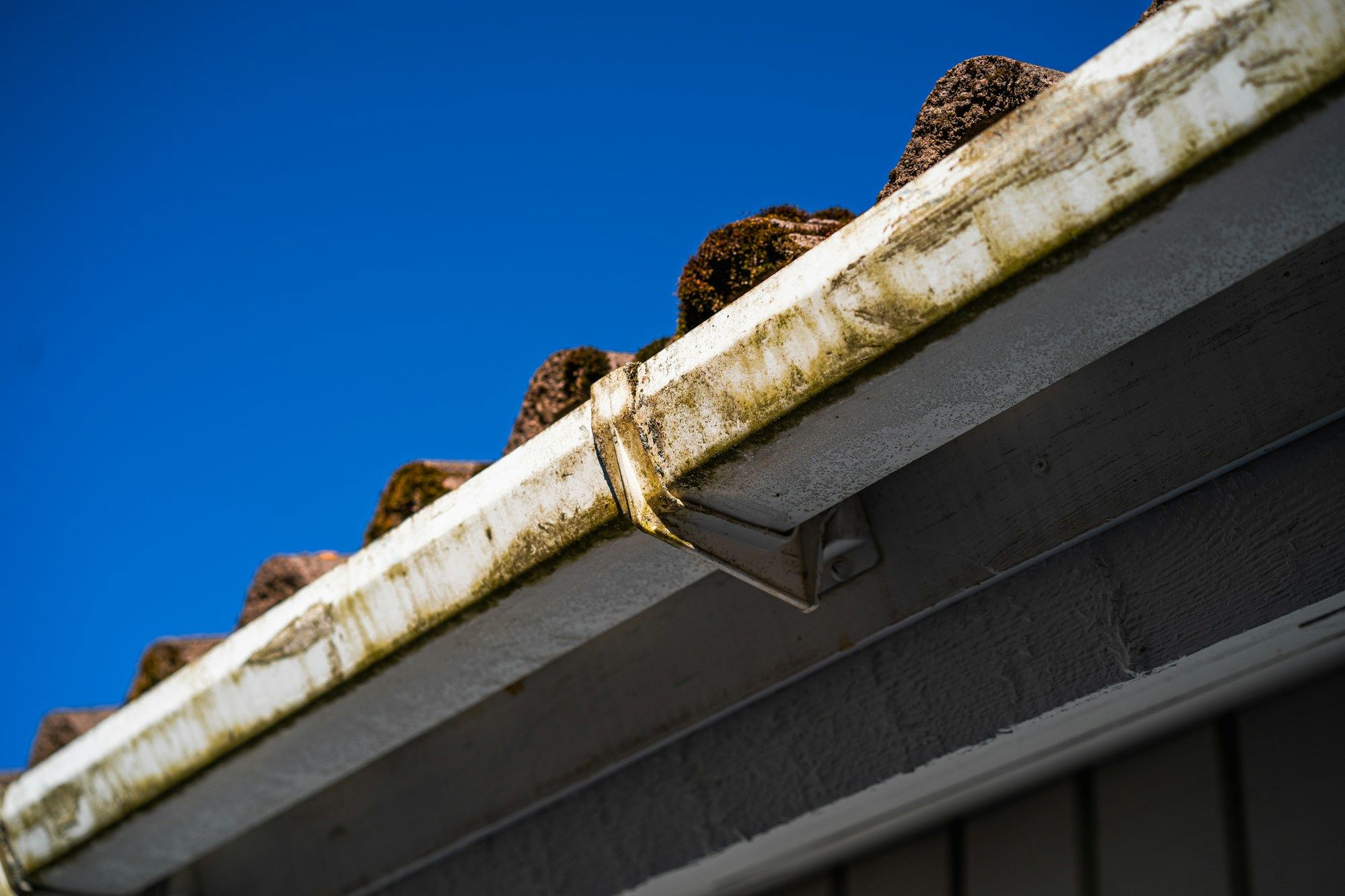 A white UPVC gutter and fascia streaked green and grey with algae under a roof of clay tiles
